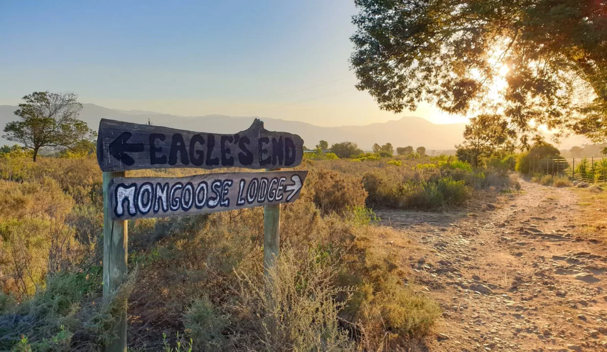 Steenbok Farm Cottage Wolseley Accommodation Yuppiestay 14