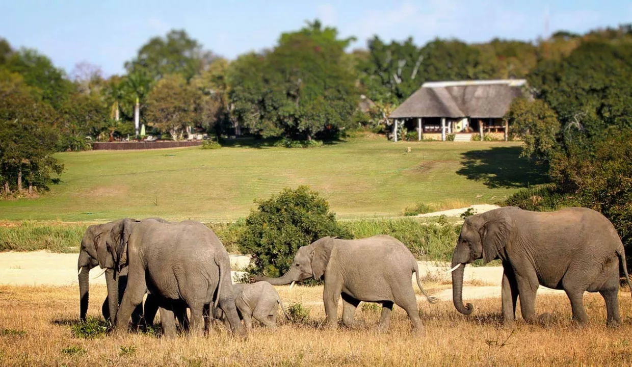 Inyati Game Lodge Accommodation By Yuppiestay22