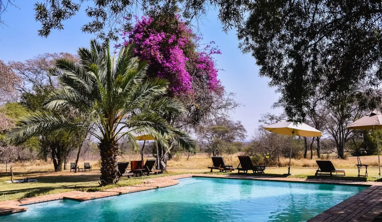 Mziki Safari Lodge Mziki Private Game Reserve Yuppiestay Accommodation (35)