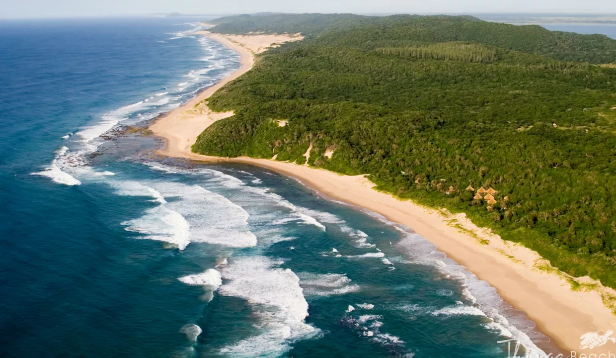 Thonga Beach Lodge Accommodation By Yuppiestay18