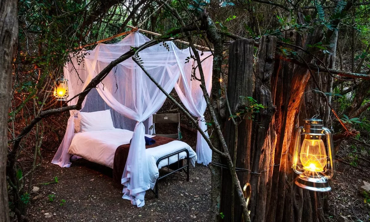 Bellevue Forest Reserve Stargazer Camp Paterson Yuppiestay Accommodation (11)