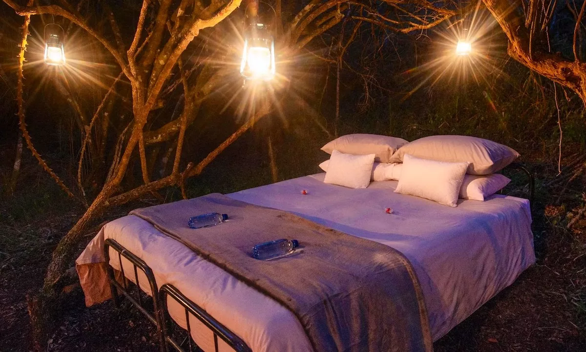 Bellevue Forest Reserve Stargazer Camp Paterson Yuppiestay Accommodation (13)
