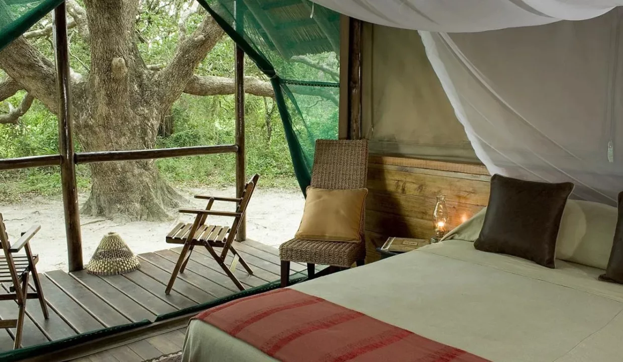 Kosi Forest Lodge Accommodation By Yuppiestay12