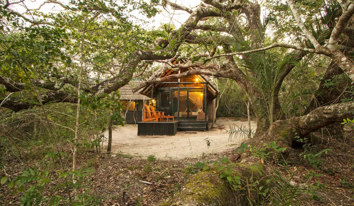 Kosi Forest Lodge Accommodation By Yuppiestay33