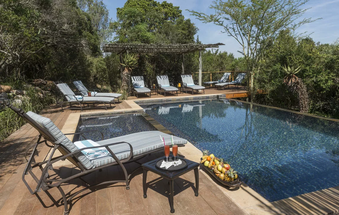 River Lodge - Kariega Game Reserve Accommodation By Yuppiestay11