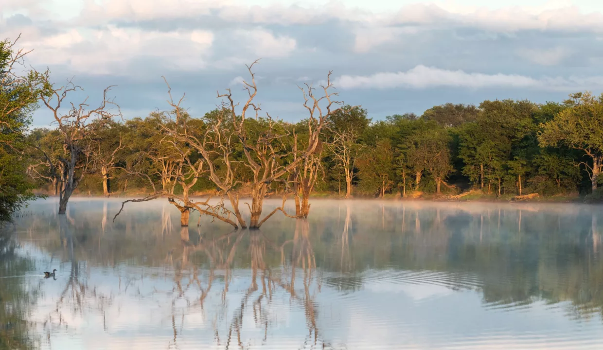 Abelana River Lodge Phalaborwa Yuppiestay Accommodation (1)
