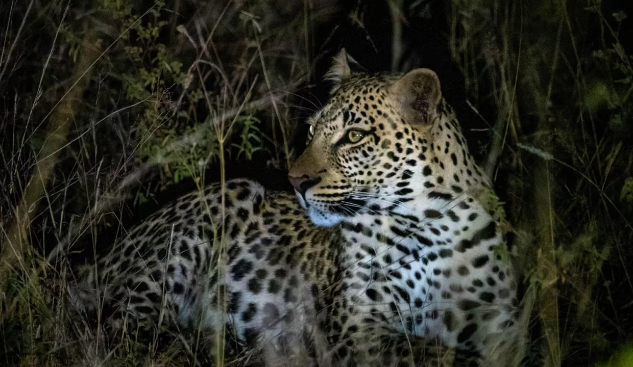 Abelana River Lodge Phalaborwa Yuppiestay Accommodation (32)