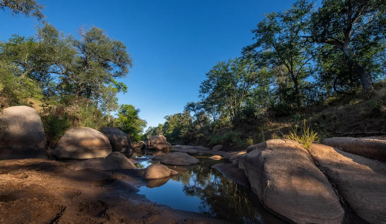 Abelana River Lodge Phalaborwa Yuppiestay Accommodation (7)