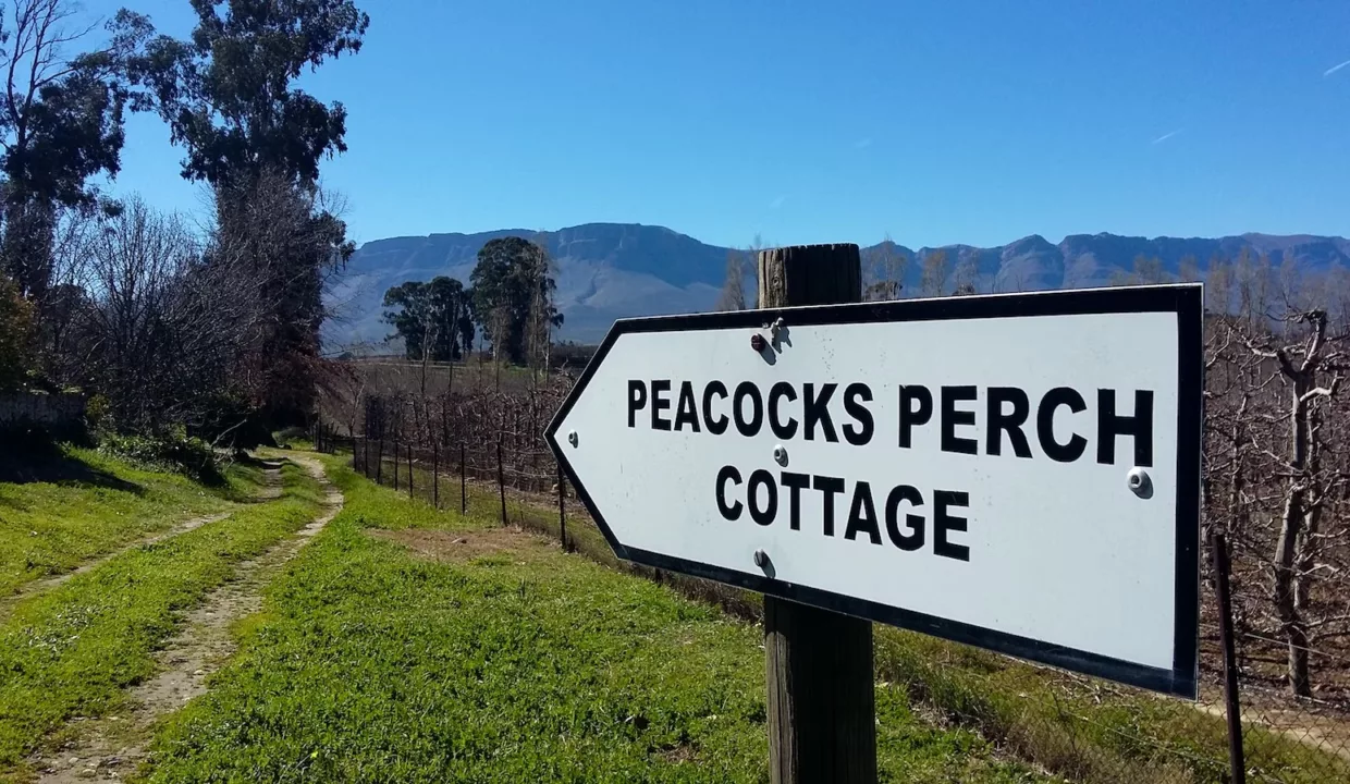 Rhondene Farm Cottages Price Alfred Hamlet Accommodation Yuppiestay 26