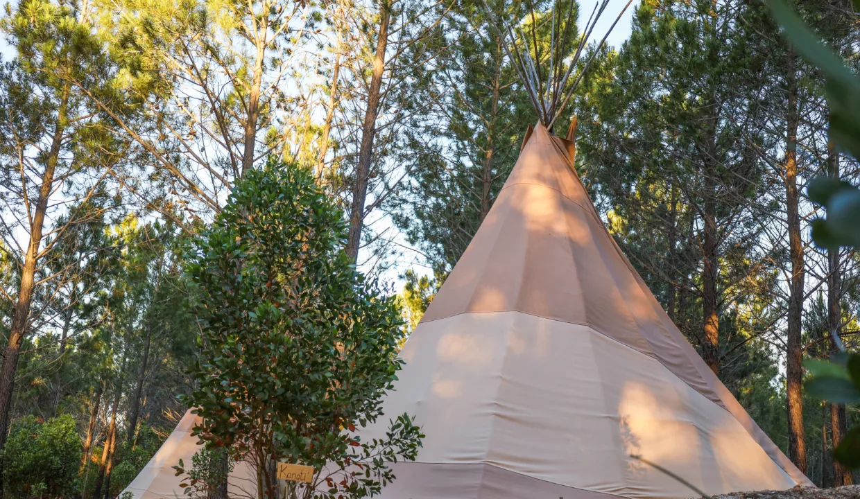 Otium Oasis Glamping & Camping Tesselaarsdal Western Cape Yuppiestay Accommodation (1)