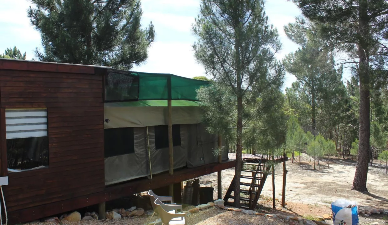 Otium Oasis Glamping & Camping Tesselaarsdal Western Cape Yuppiestay Accommodation (1)