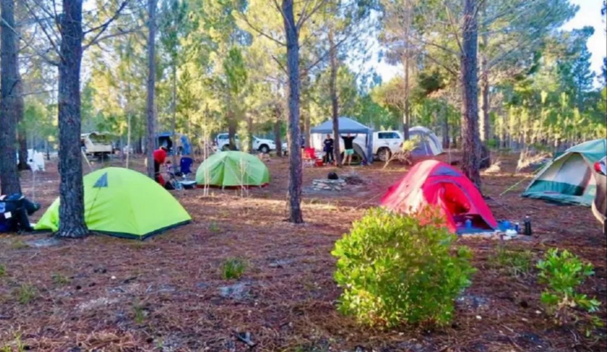 Otium Oasis Glamping & Camping Tesselaarsdal Western Cape Yuppiestay Accommodation