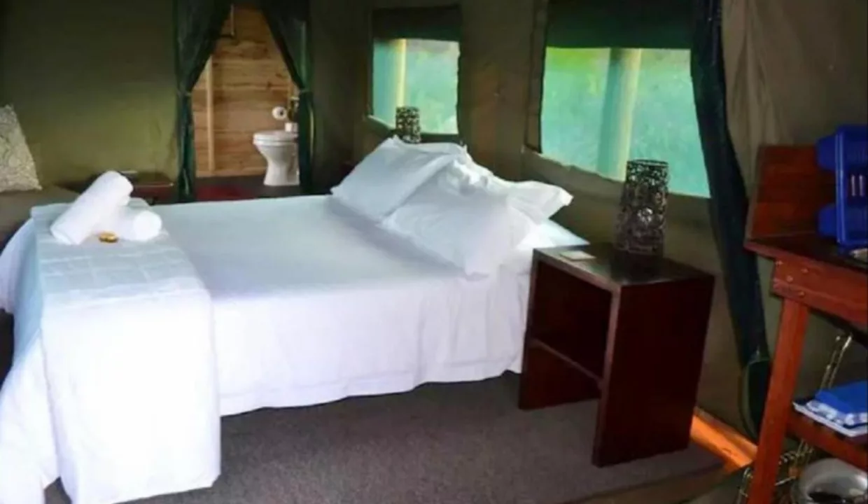 Otium Oasis Glamping & Camping Tesselaarsdal Western Cape Yuppiestay Accommodation (3)