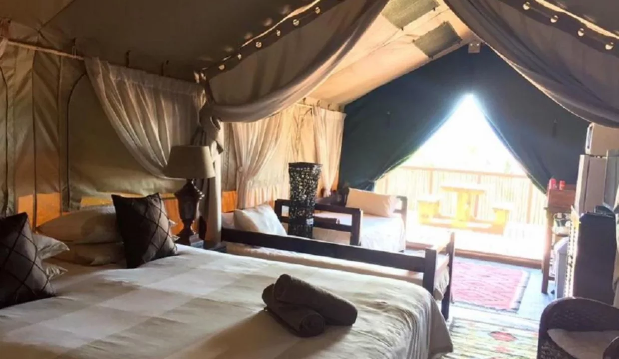 Otium Oasis Glamping & Camping Tesselaarsdal Western Cape Yuppiestay Accommodation (4)