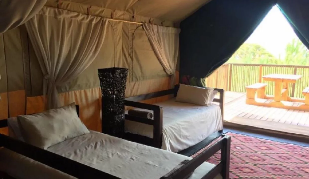 Otium Oasis Glamping & Camping Tesselaarsdal Western Cape Yuppiestay Accommodation (5)