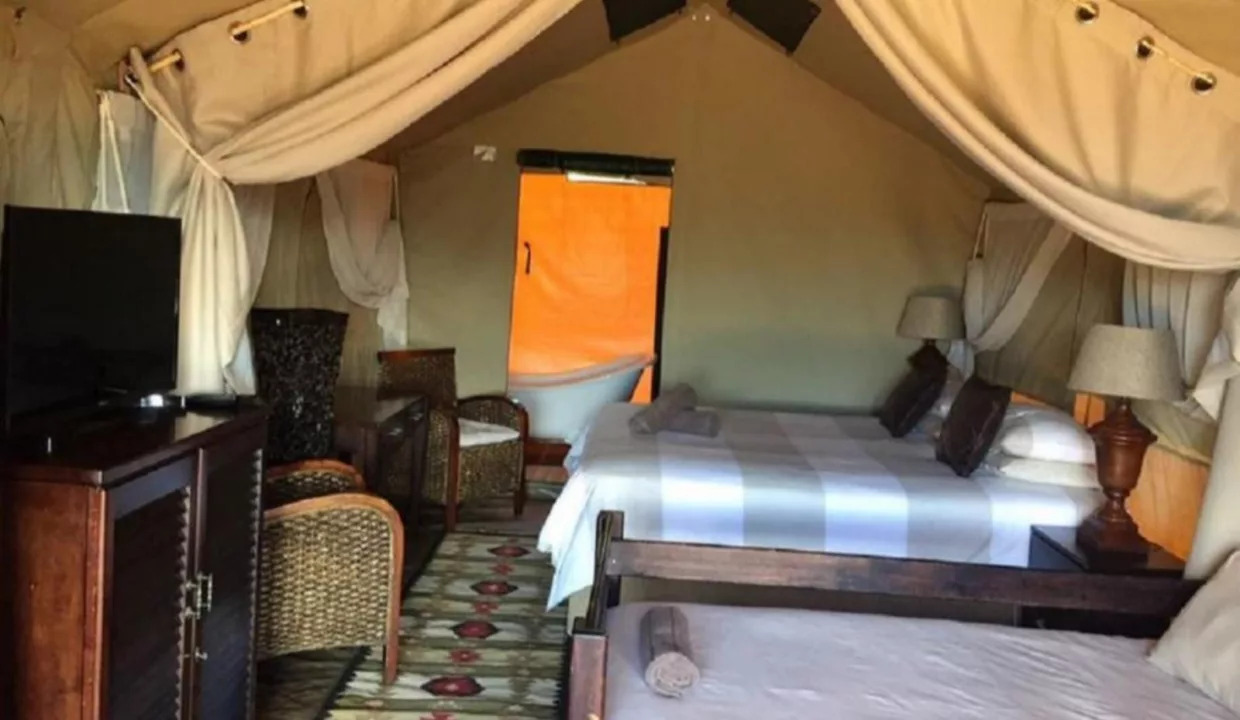 Otium Oasis Glamping & Camping Tesselaarsdal Western Cape Yuppiestay Accommodation (6)