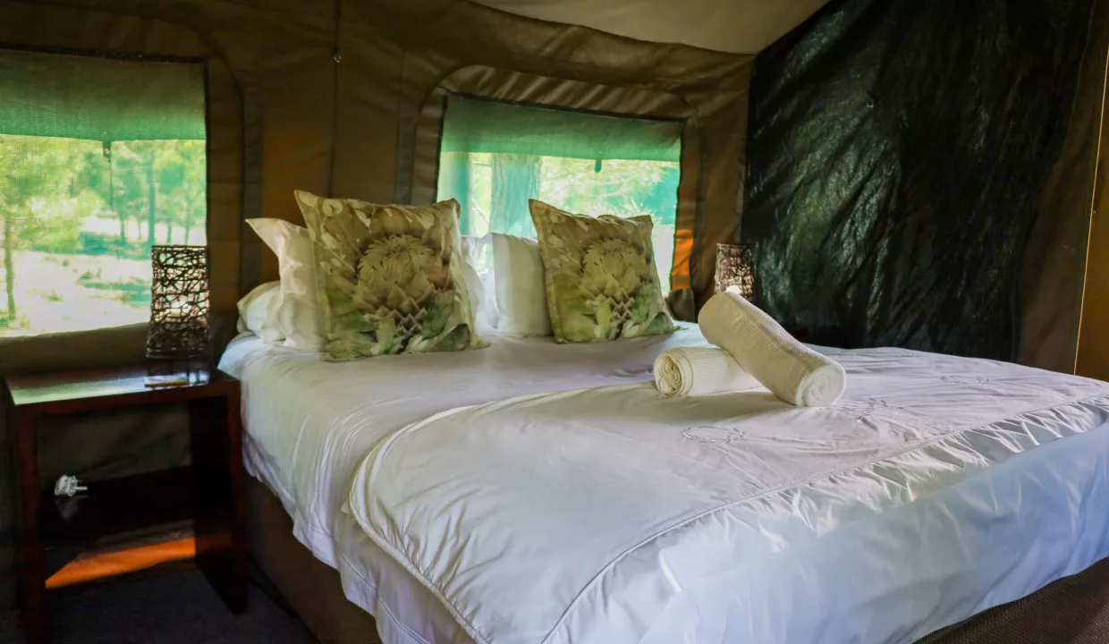 Otium Oasis Glamping & Camping Tesselaarsdal Western Cape Yuppiestay Accommodation (7)