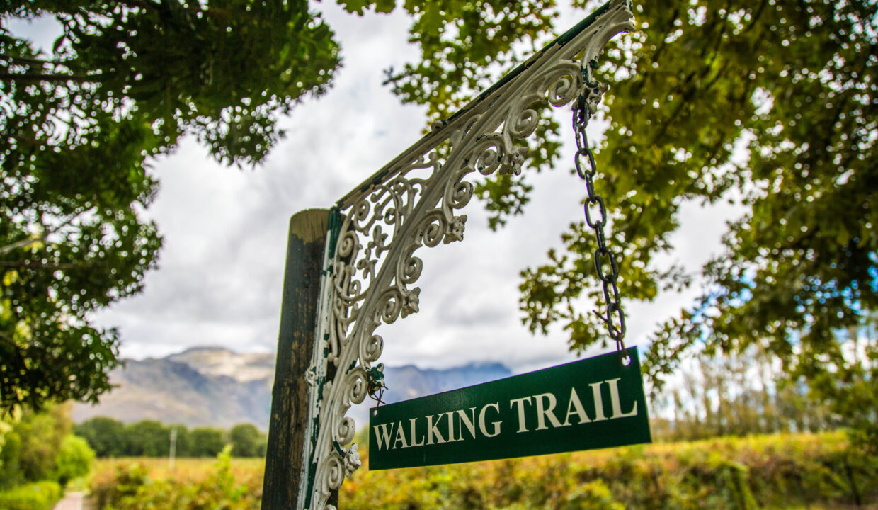 Walking Trail