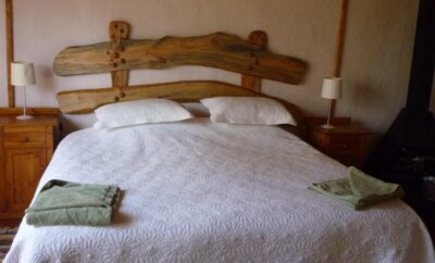 Budget guide room — Antbear Lodge