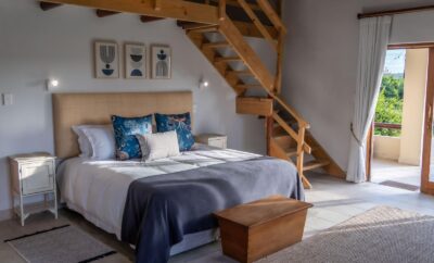 Family Comfortable Guestroom — Oyster Bay Lodge