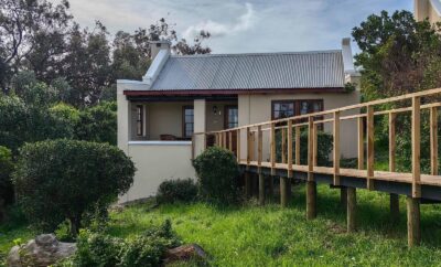Suites — Oyster Bay Lodge