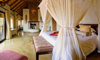 Luxury Bush Villa-Family Room — Motswiri Private Safari Lodge