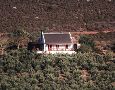 Buffelsbank Cottage — Orange Grove
