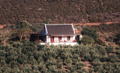 FineView Cottage — Orange Grove