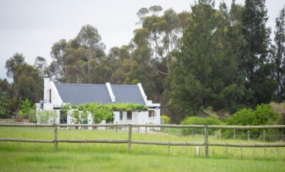 The Barn — Raptor Rise Farm