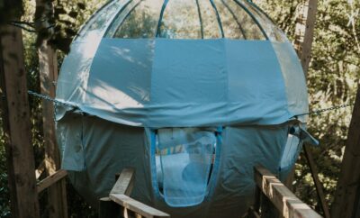 Forest Dome — Misty Mountain Reserve