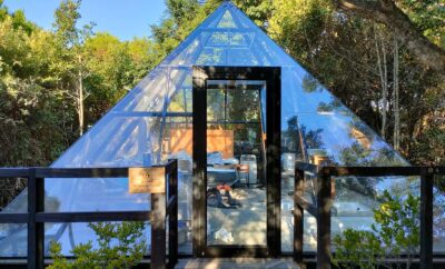 Forest View Tented Lodge — Misty Mountain Reserve