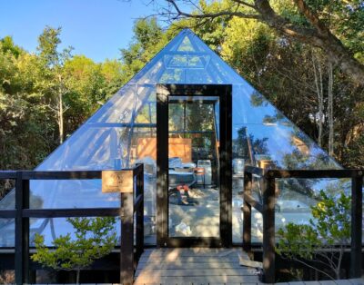 Forest View Tented Lodge — Misty Mountain Reserve