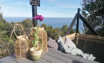 The Dome — Misty Mountain Reserve