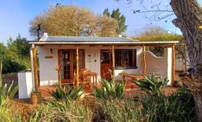Cabernet 1 Bedroom Cottage — Vindoux Guest Farm and Day Spa