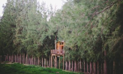 Honeymoon Tree House: TH 4 — Vindoux Guest Farm and Day Spa