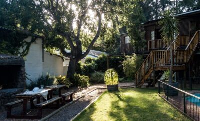 Self-Catering Tree Lodge — Vindoux Guest Farm and Day Spa