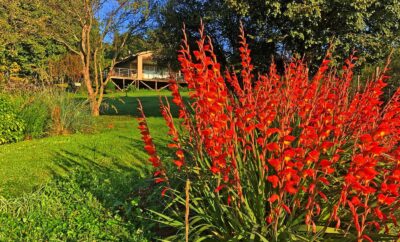 Fish Eagle Lodge — Hills and Dales Accommodation
