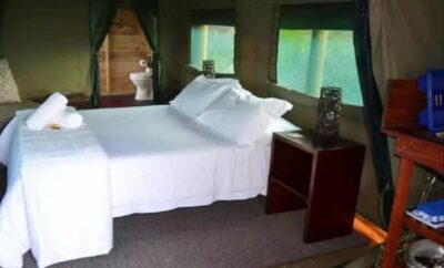 The Sugarbird Tent — Otium Oasis Glamping & Camping