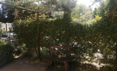 Deluxe Queen Cottage — Fiore Garden Accommodation
