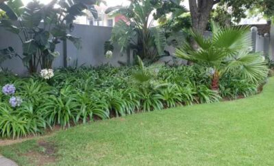 Room 1 – Arum Lily Guest Rooms Pretoria — Arum Lily Guest Rooms