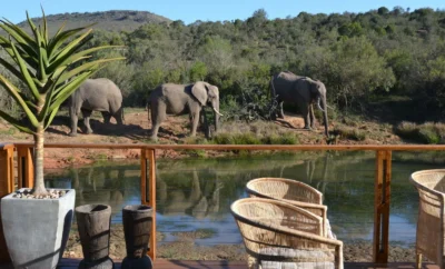 Barefoot Addo Elephant Lodge