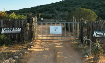 Safari Style En-suite Tent — Kudu Ridge Game Lodge