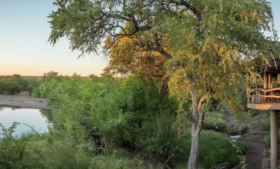 Mashatu Lodge – Mashatu Game Reserve