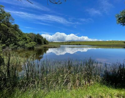 Cedar Cottage — The Outpost Dullstroom