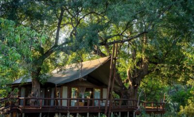 Tuli Safari Luxury Tented Lodge